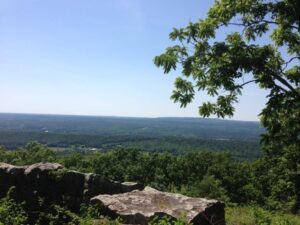 7 Best Things To Do In Cullman Al
