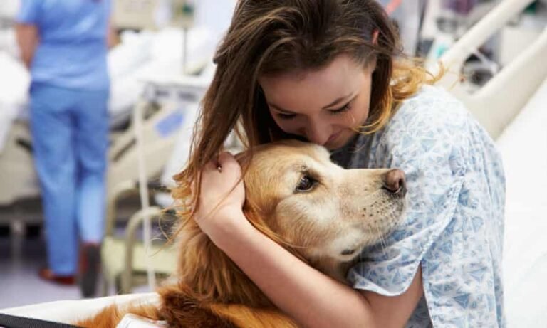 How Adopting An Animal Can Positively Affect Your Mental Health & Wellbeing