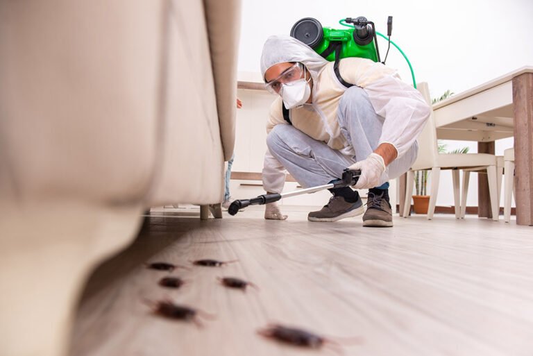 Getting The Best Security From Pest Control Provider